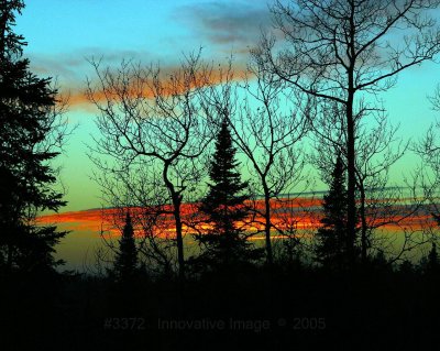 IMG_3372.jpg