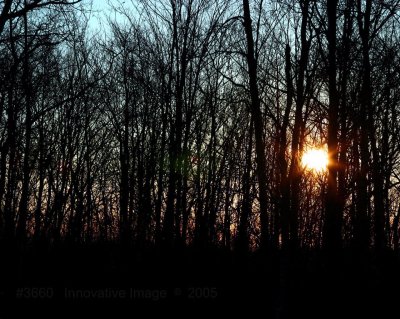 IMG_3660.jpg