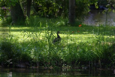 IMG_4307.jpg