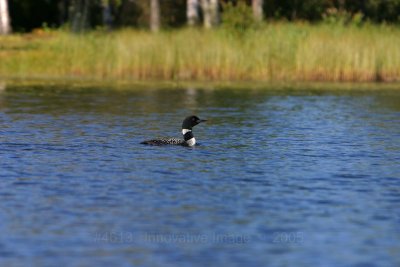 IMG_4613.jpg