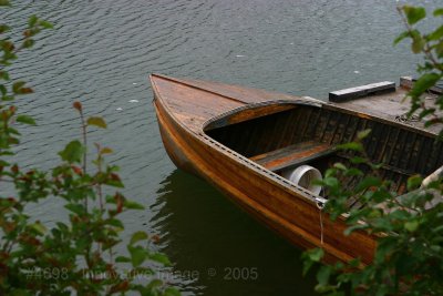 IMG_4698.jpg