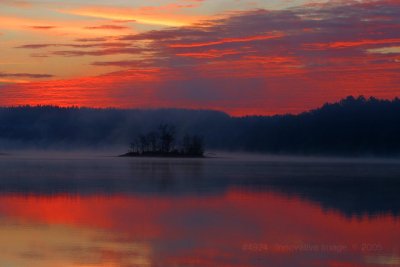 IMG_4924.jpg