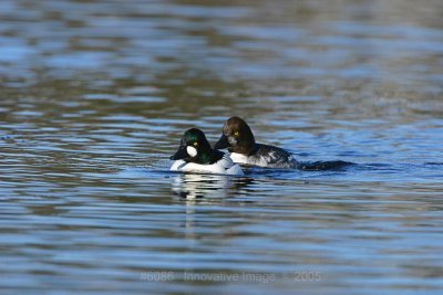 IMG_6086.jpg