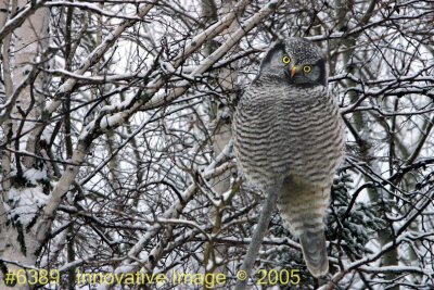 IMG_6389.jpg
