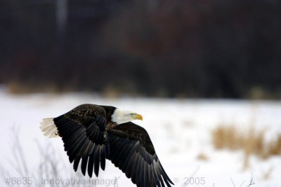 IMG_6835.jpg