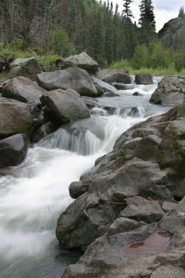 IMG_7330.jpg