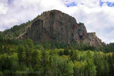 IMG_7713.jpg