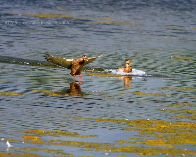 IMG_7755.jpg