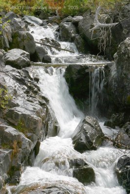 IMG_8317.jpg