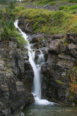 IMG_8345.jpg