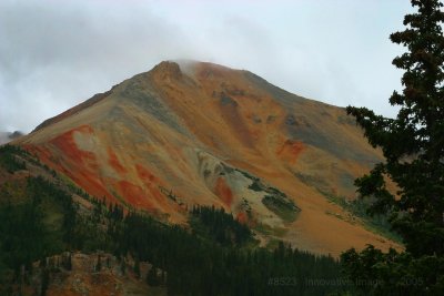 IMG_8523.jpg