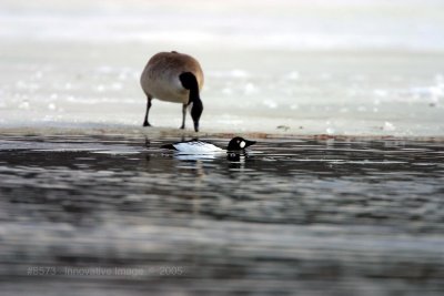 IMG_8573.jpg