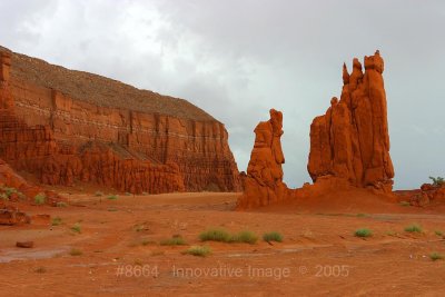 IMG_8664.jpg