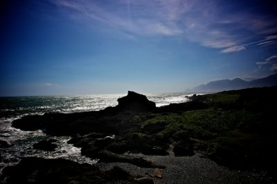 IMG_5293.jpg