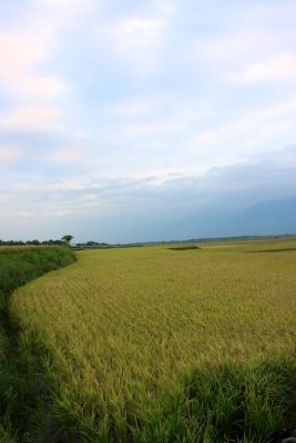 IMG_5418.jpg