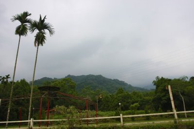 IMG_6569.jpg
