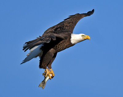 _DSC1911.jpg