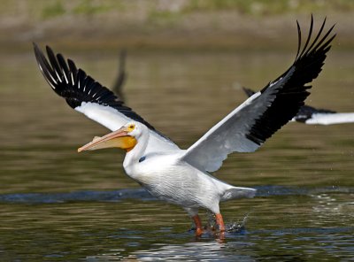 _DSC4344 crop 2.jpg