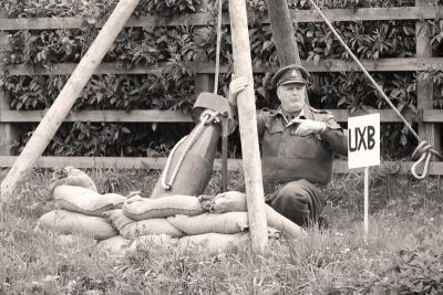 Bluebell at War