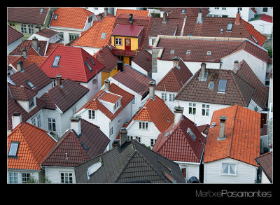 Bergen's roofs