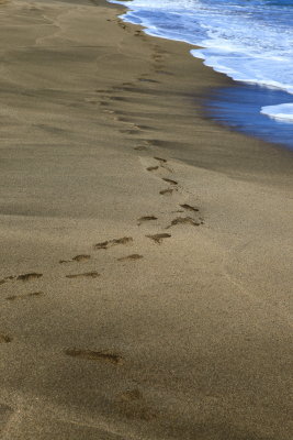 Footprints in the sand