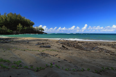 Beach at Wainiha