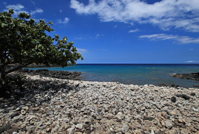 Beach scenes from the Kohala Coast of the island of Hawaii