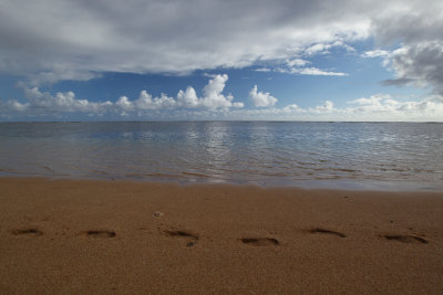 Kaua'i - Beach Scenes and a Little Bit More