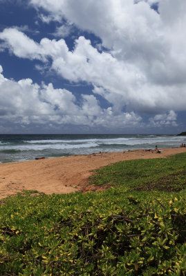 Kealia Beach scene