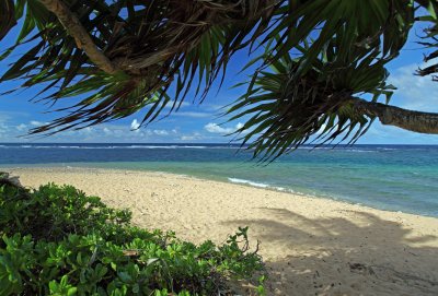 Beach at Hale Makai Cottages