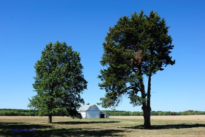 Lone Barn