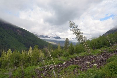 Glacier National Park 2012