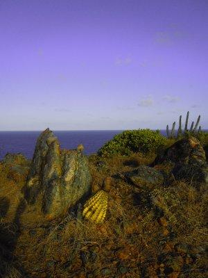 DSCN1356.jpg