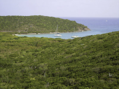 DSCN1364.jpg