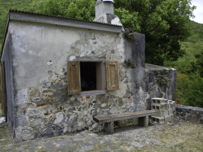 DSCN1385.jpg