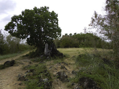 DSCN1410.jpg