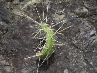 DSCN1429.jpg