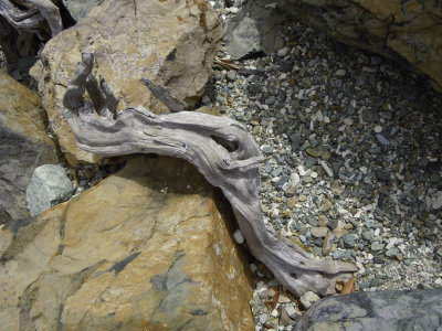 DSCN1431.jpg