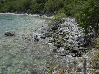 DSCN1435.jpg