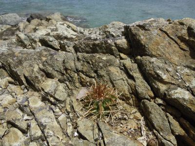 DSCN1437.jpg