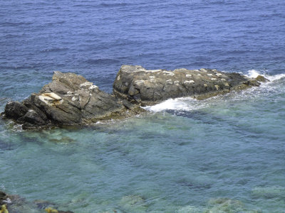 DSCN1438.jpg