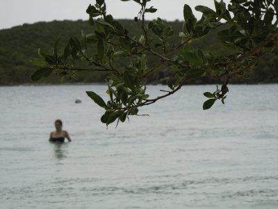 DSCN1442.jpg