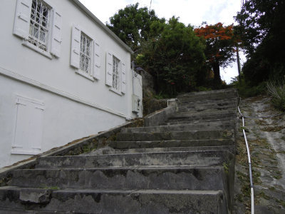 DSCN1447.jpg