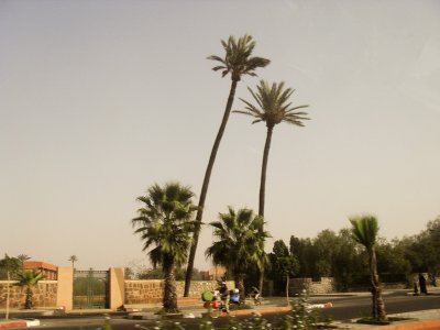 SDC11567.jpg