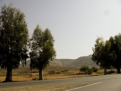 SDC11581.jpg
