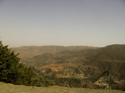 SDC11602.jpg