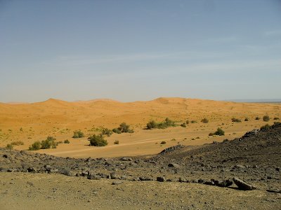 SDC11801.jpg