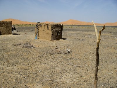 SDC11827.jpg