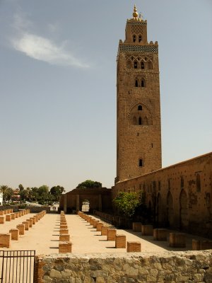 SDC11876.jpg