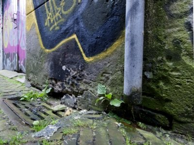 g4/35/583435/3/136077180.s0CnQ6SG.jpg